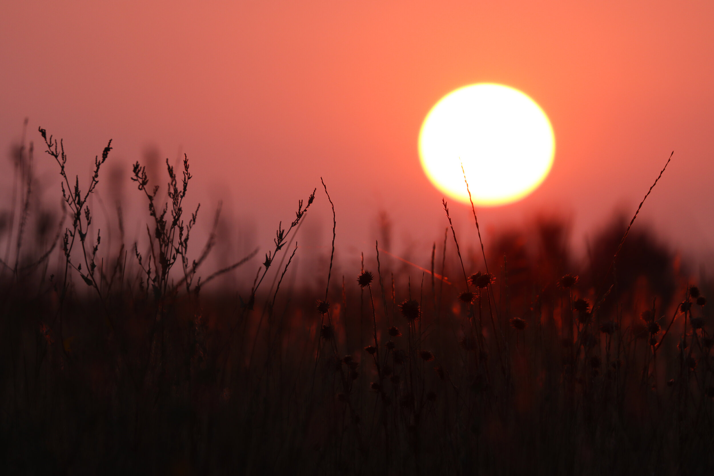 "Barr Lake Sunset"