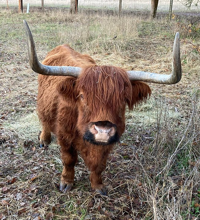 Life on the farm…. 2022