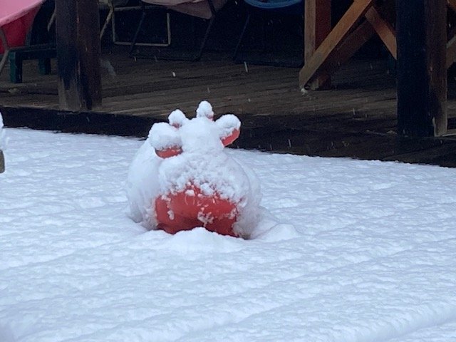 Snow…and more snow..