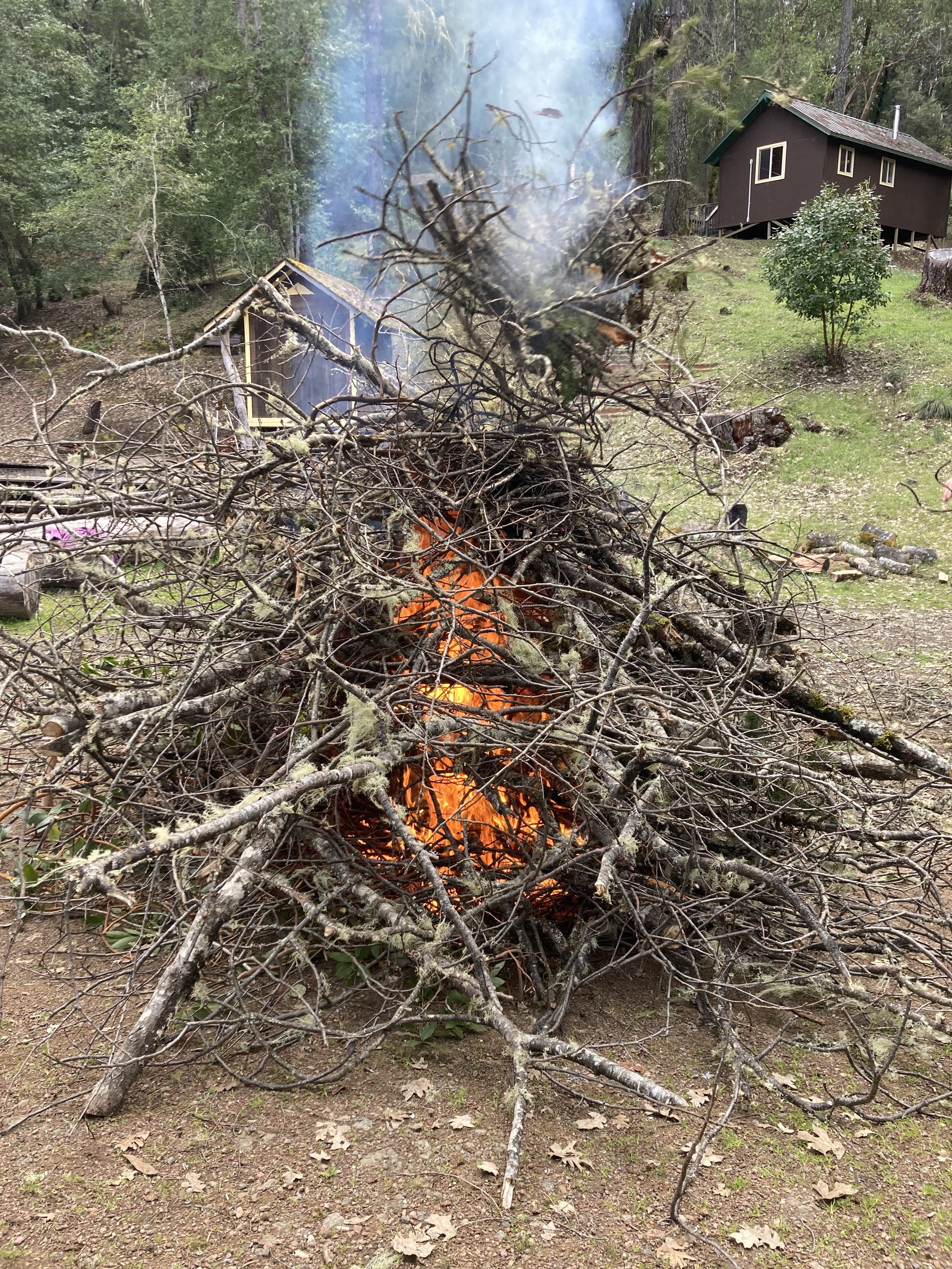 Burn Pile in camp 2023.jpg