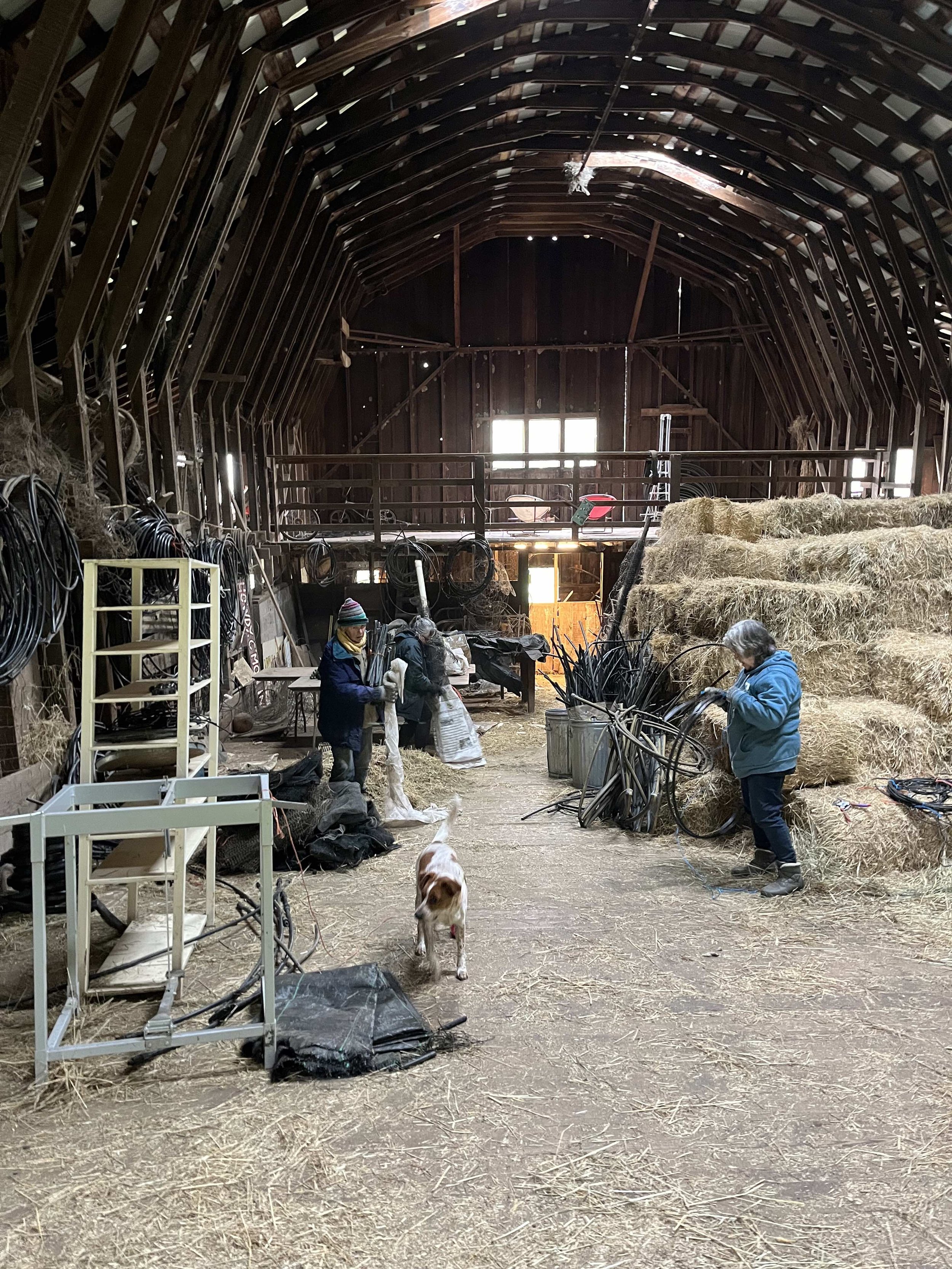 More barn clean-up 2024.jpg