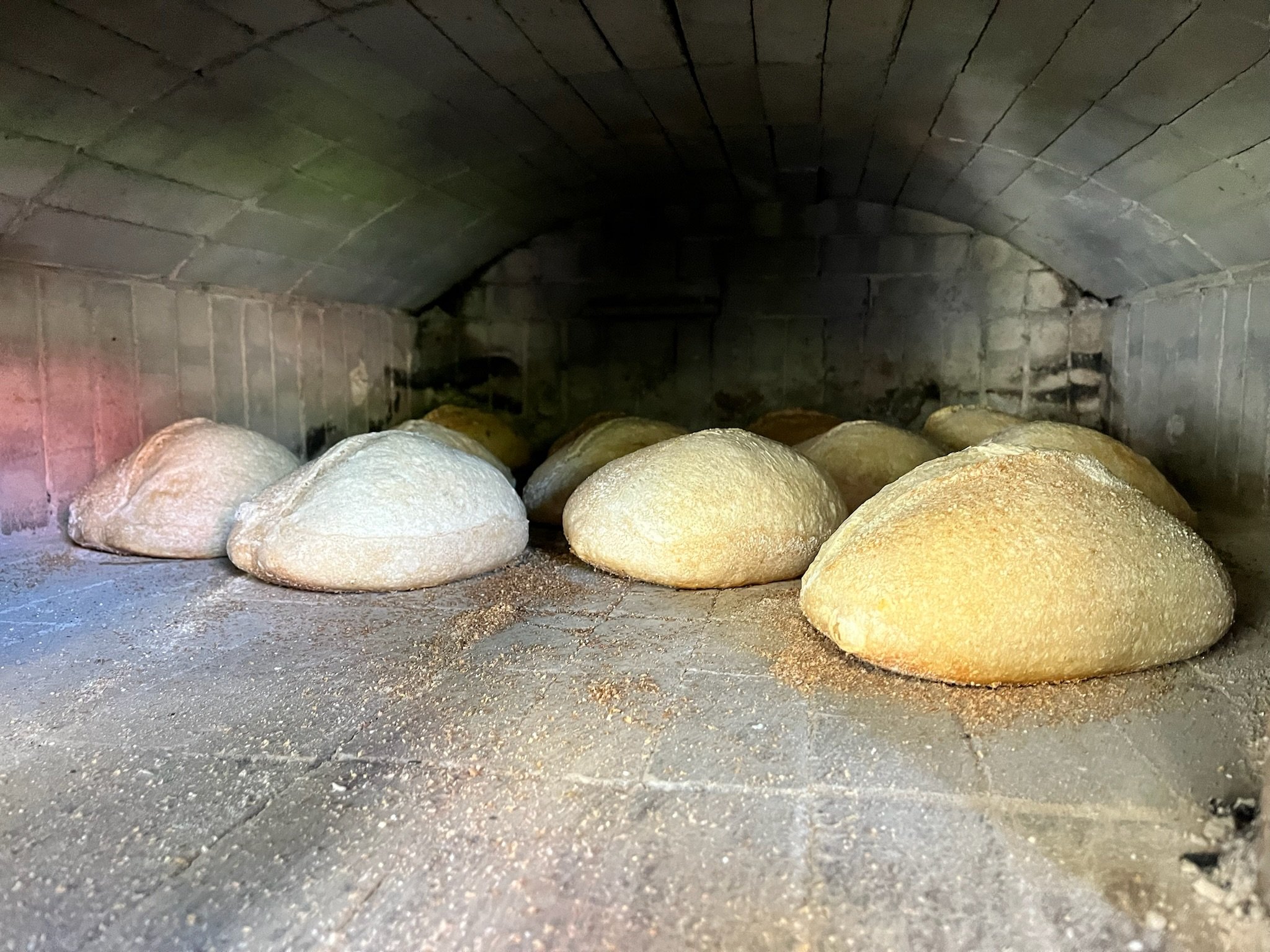 Sour dough bread in oven.jpg