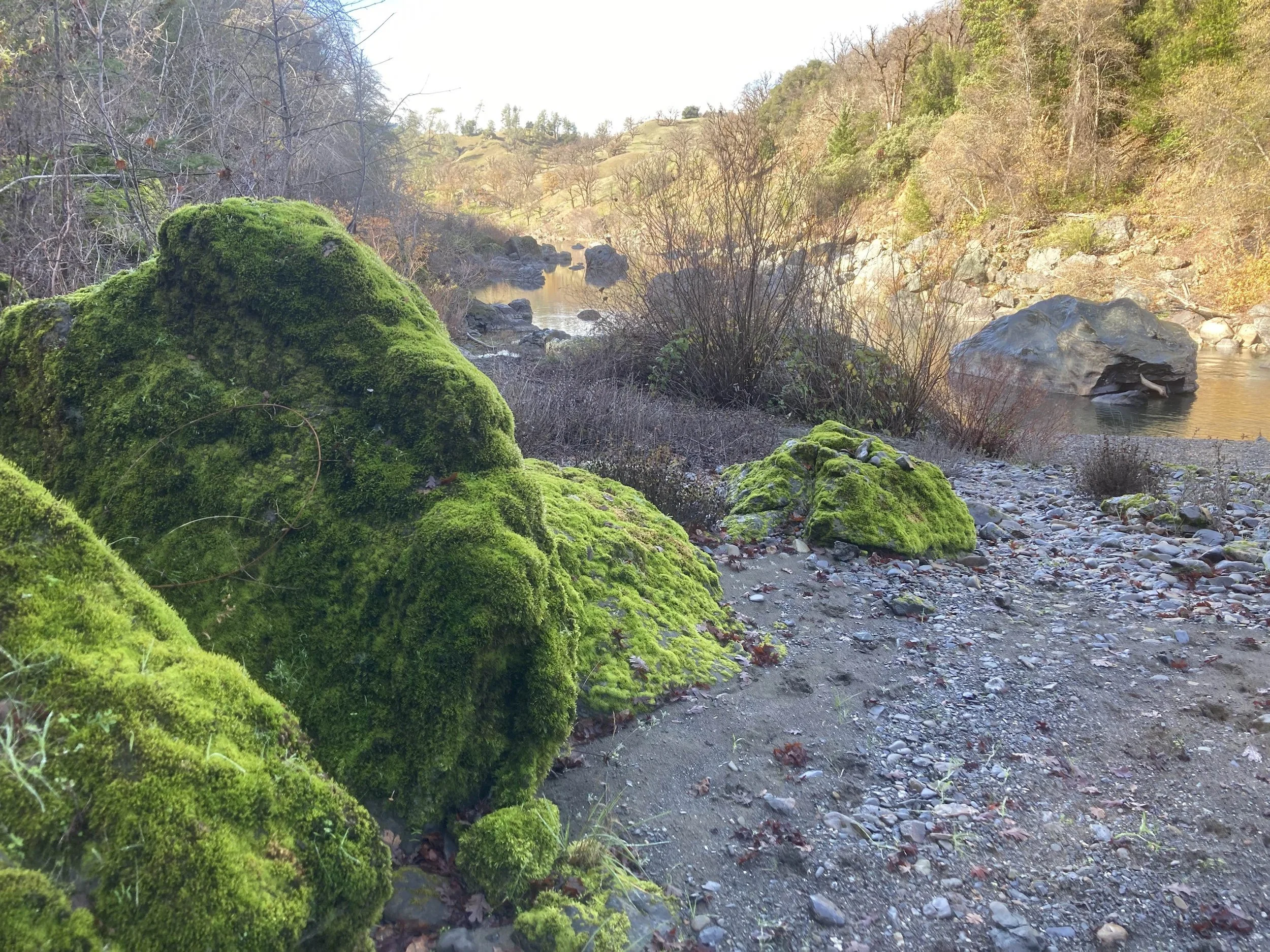 Mossy rocks.jpg