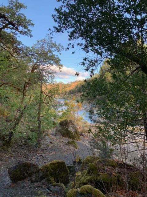 robins pool Kate September 2020-02-24 at 5.38.44 PM.jpeg