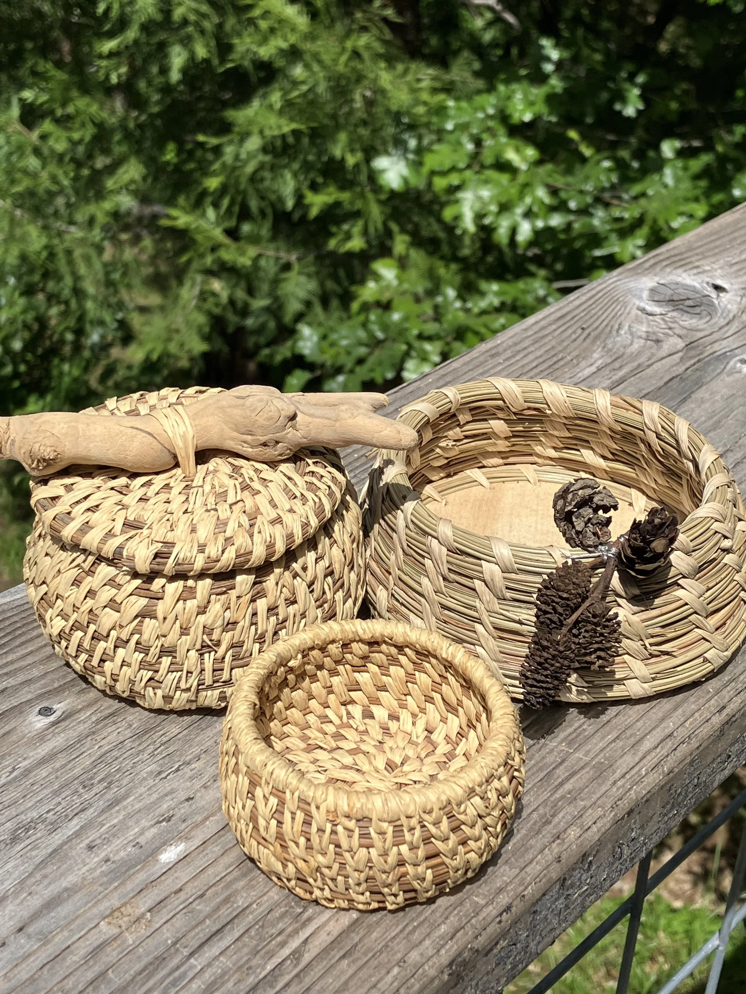 more pine needle.jpg