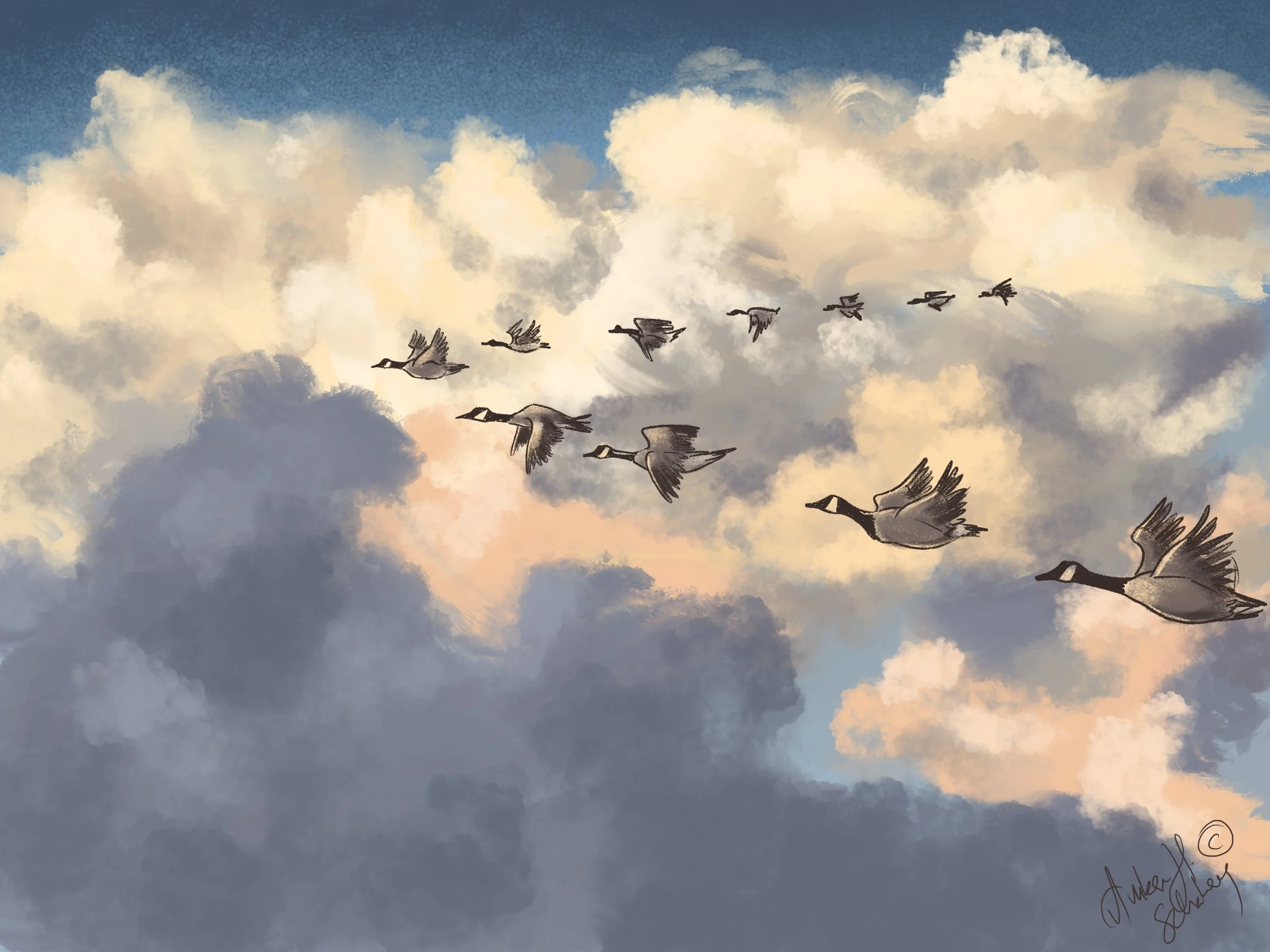 Flight Mode