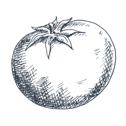 Tomato