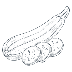 Zucchini