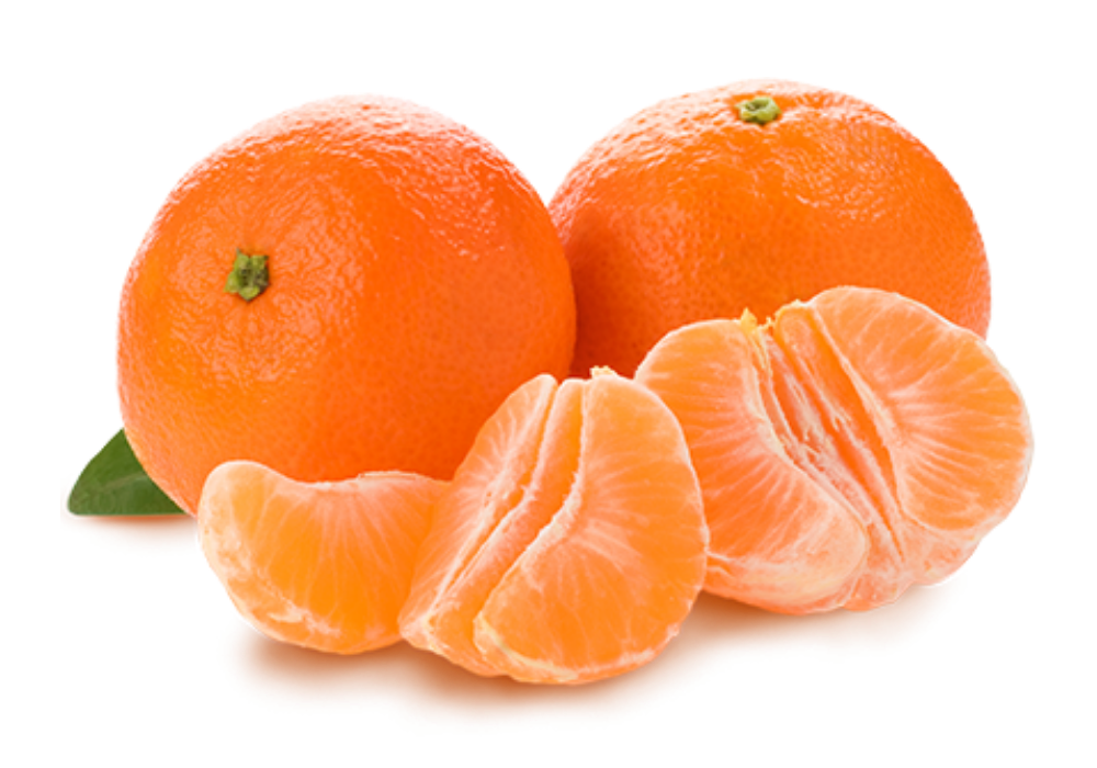 Two whole oranges and peeled orange segments with a green leaf