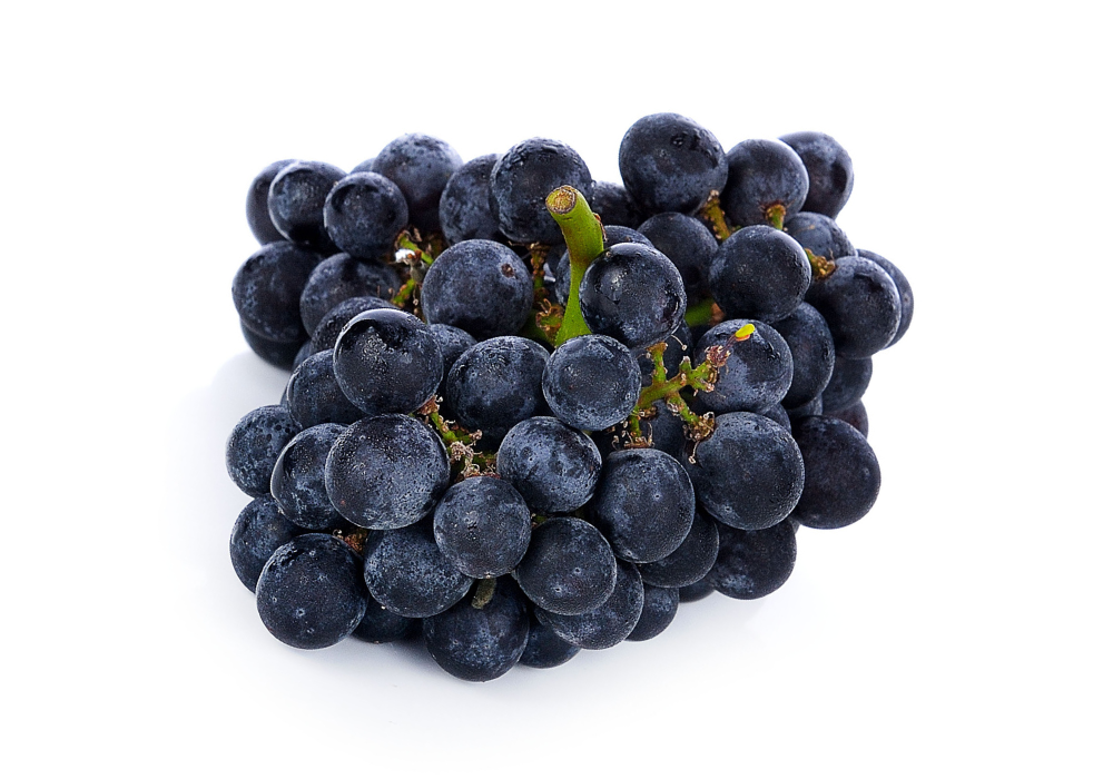Black grape cluster on white background.