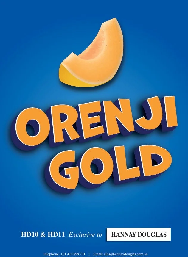 WhatsApp Image 2026-03-18 at 2.04.54 PM.jpeg