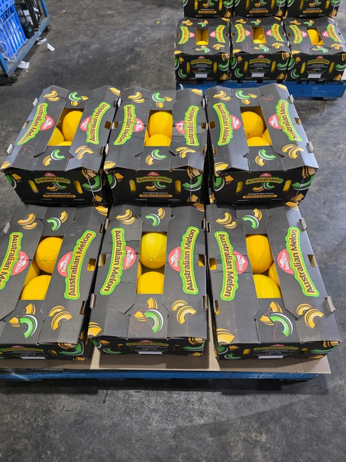 Orenji black carton.jpg