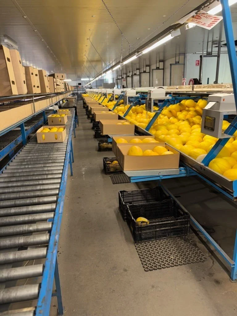 Orenji pack shed.jpg