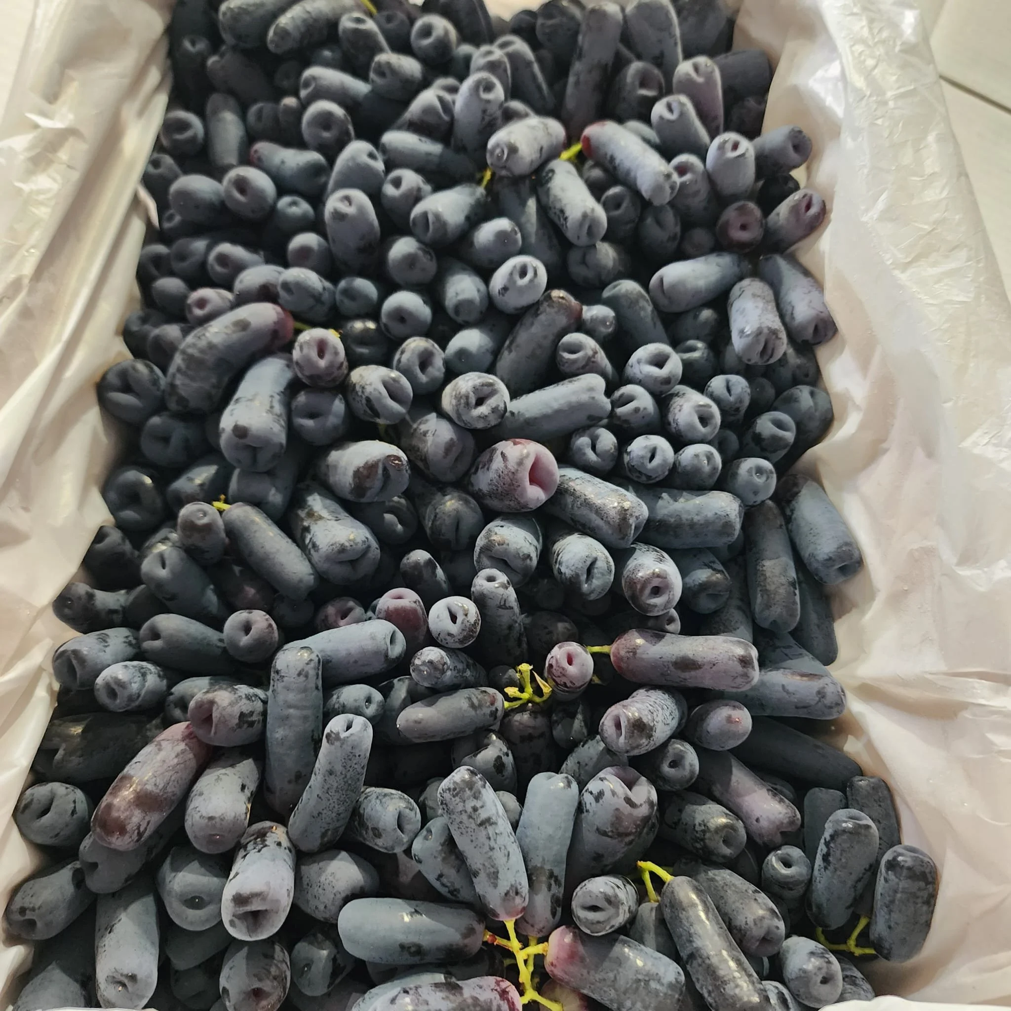 WhatsApp Image 2026-03-20 at 1.00.08 PM.jpeg