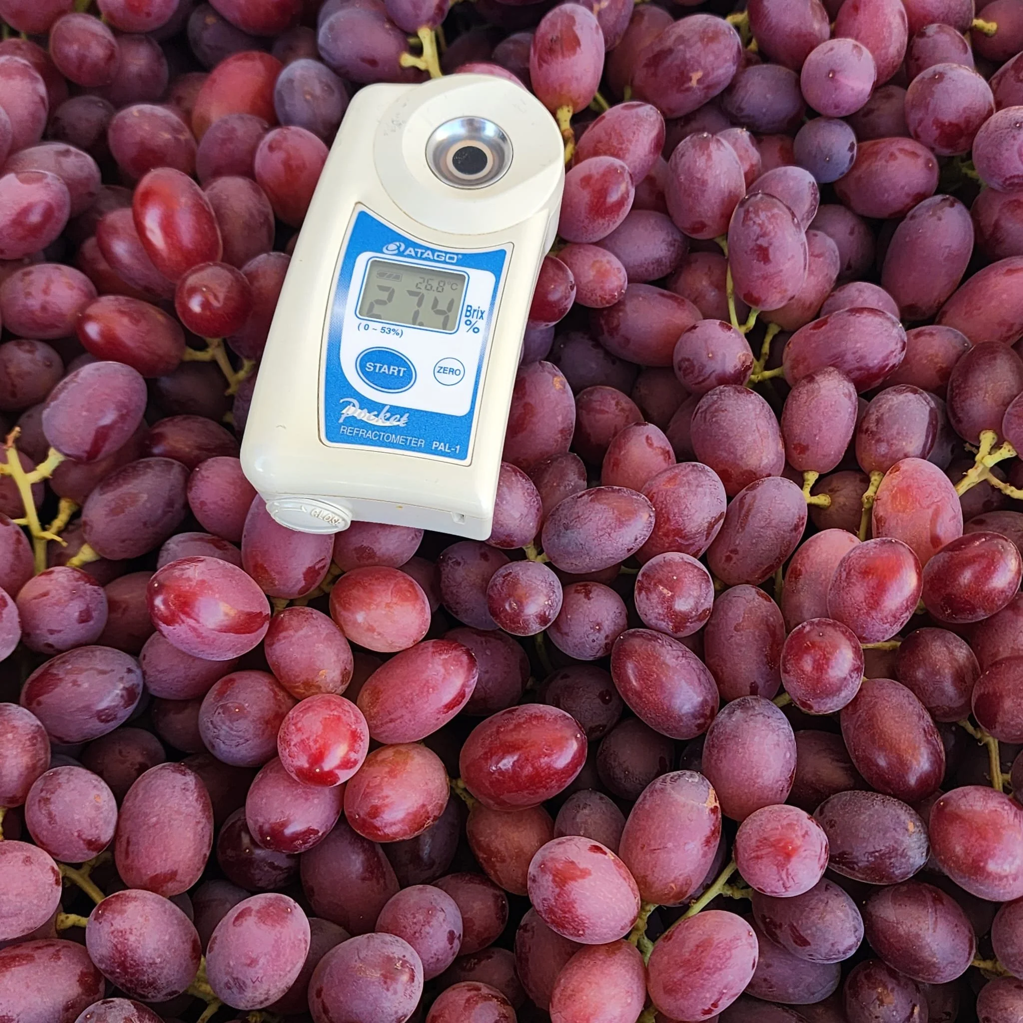 WhatsApp Image 2026-03-20 at 1.12.59 PM (1).jpeg