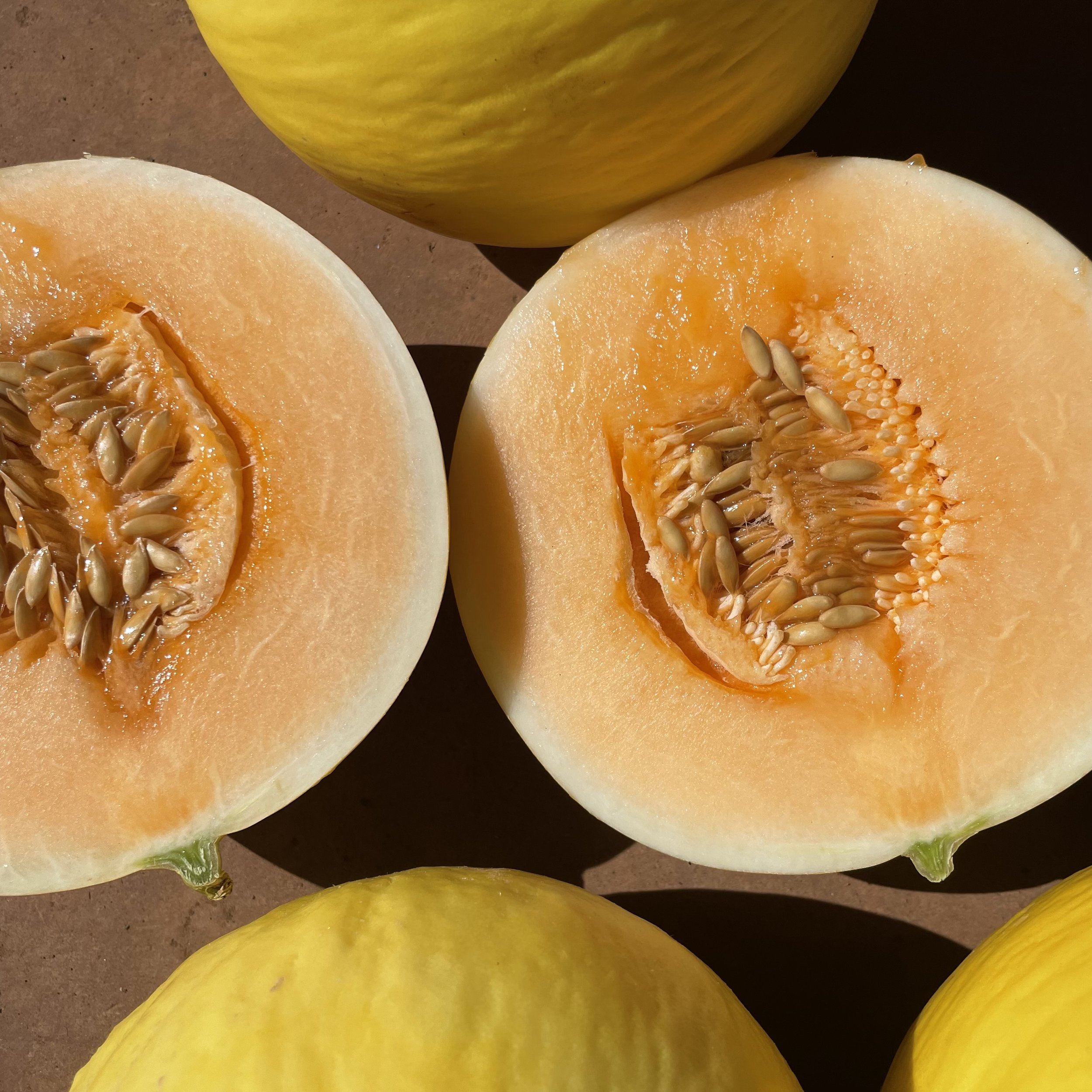 Close-up of two halved cantaloupe melons showing their orange flesh and seeds, with whole cantaloupe melons in the background.