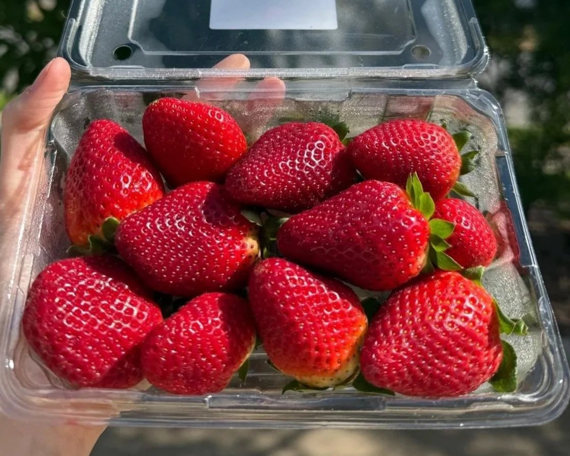Strawberries
