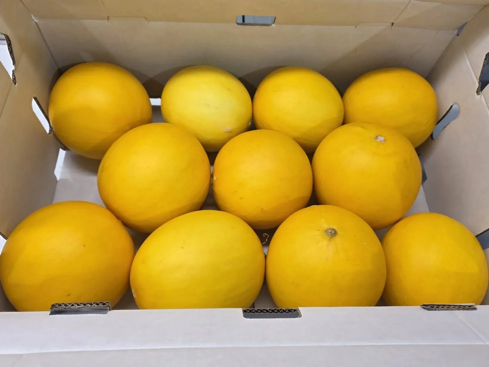 WhatsApp Image 2026-03-16 at 11.12.52 AM.jpg