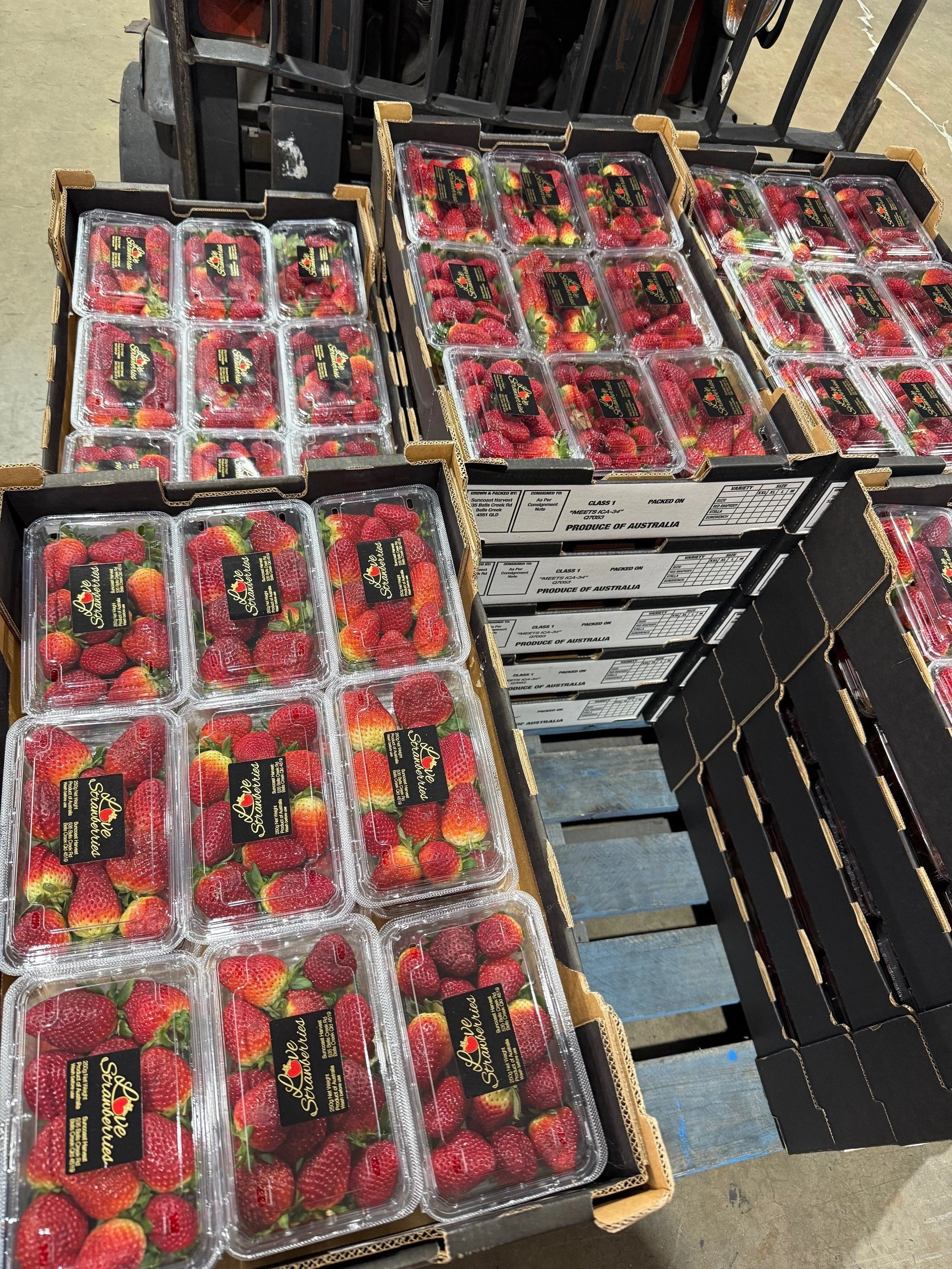 Love strawb cartons.jpg