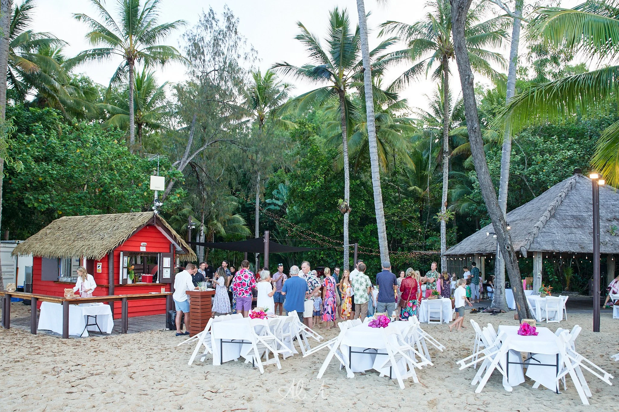 _DSC6915-100MSDCF-JPEG - Squarespace.jpg