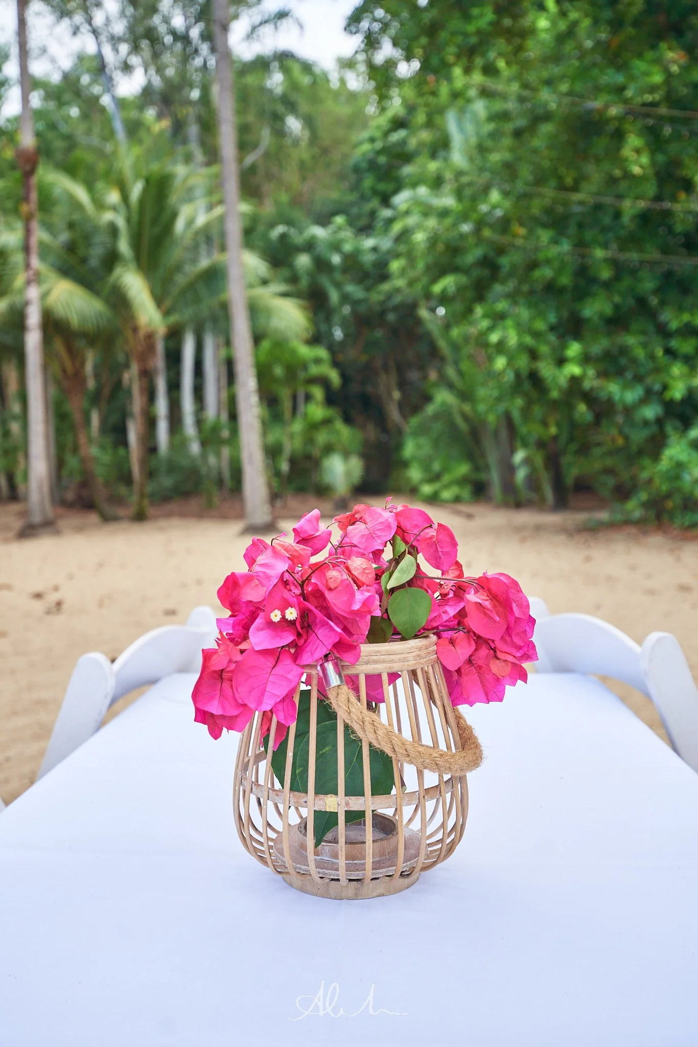 _DSC6843-100MSDCF-JPEG - Squarespace.jpg