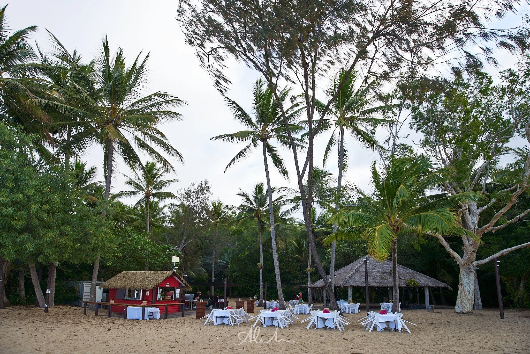 _DSC6849-100MSDCF-JPEG - Squarespace.jpg