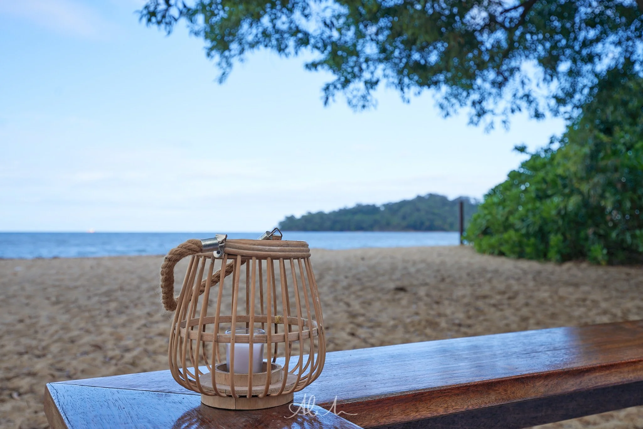 _DSC6848-100MSDCF-JPEG - Squarespace.jpg