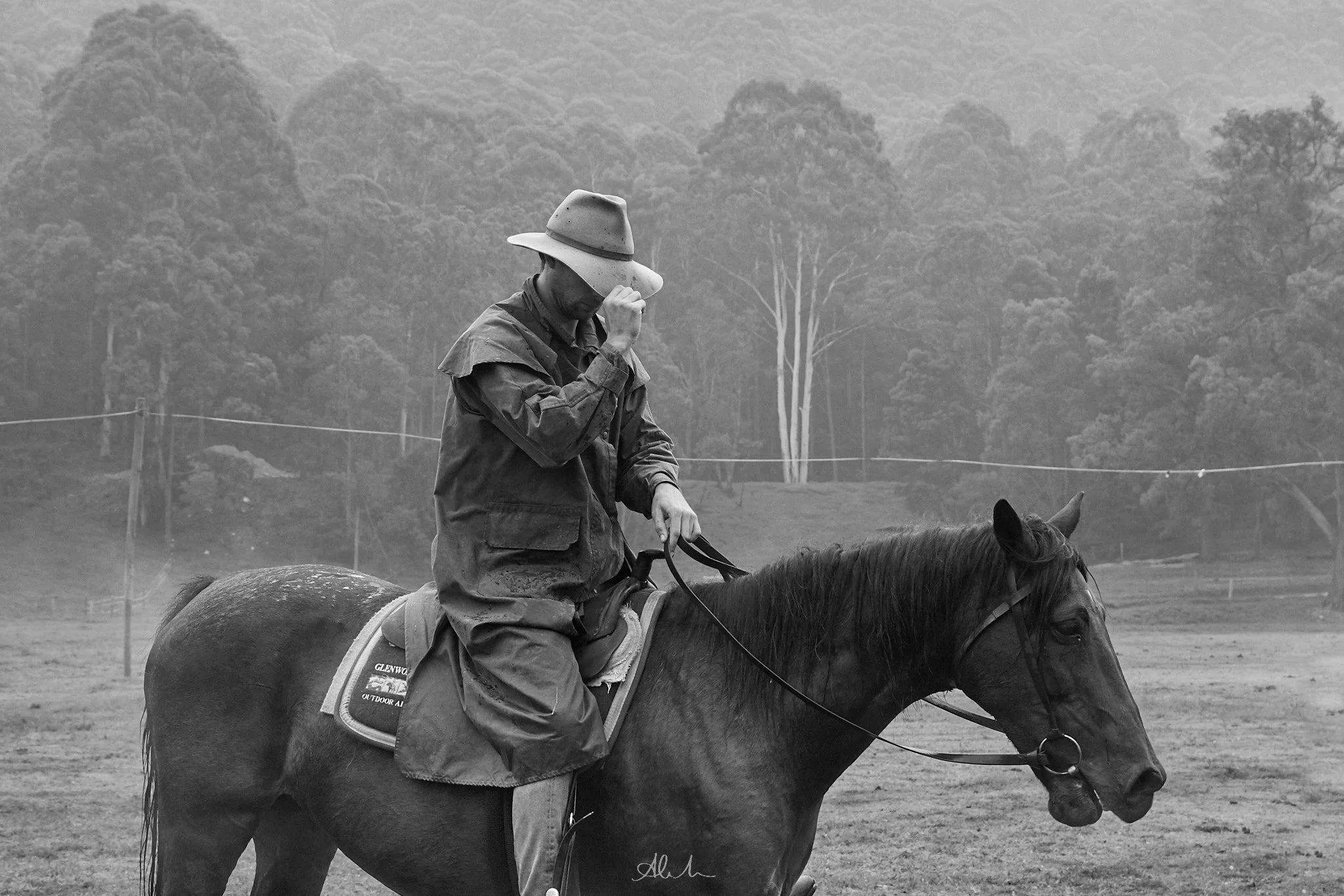 IMG_0957-Glenworth Valley RAW-JPEG - Squarespace.jpg