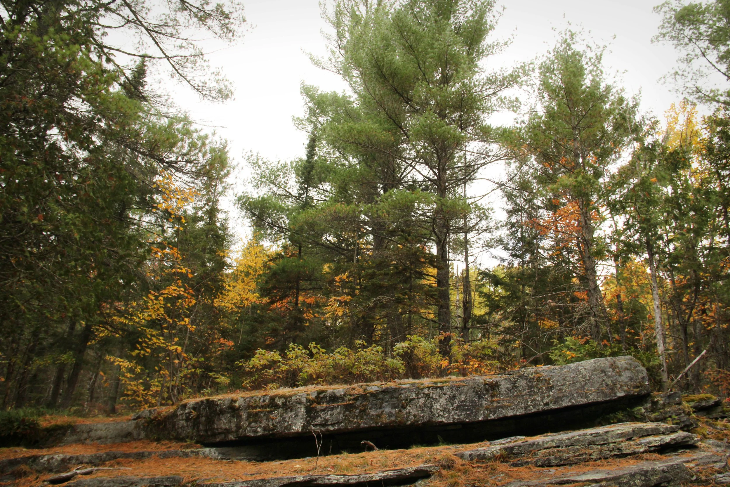 2020 — Canyon Falls, MI