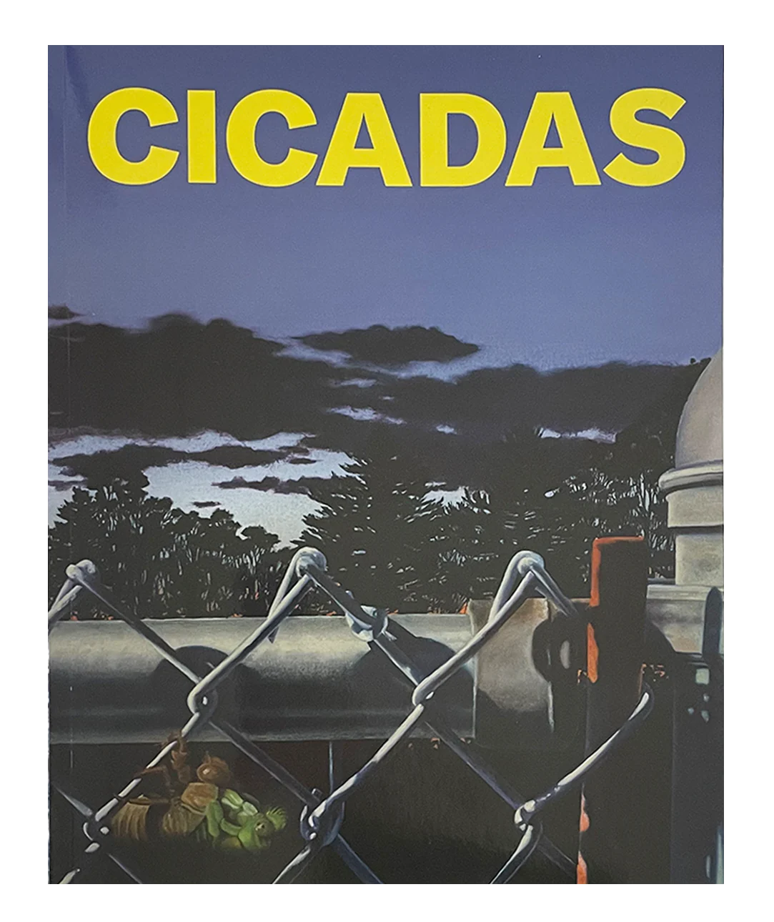 Cicadas book cover