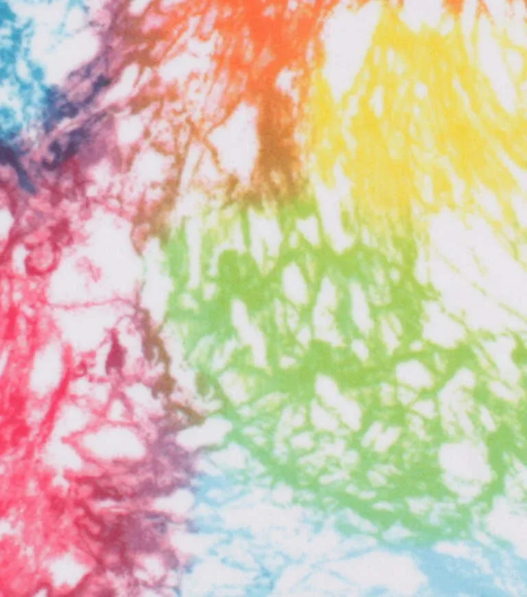 Rainbow web.webp