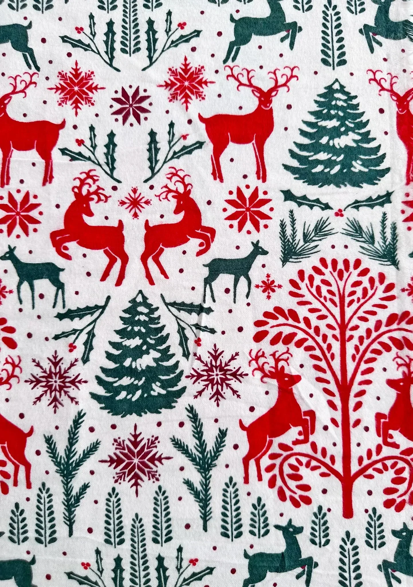 Reindeer.webp