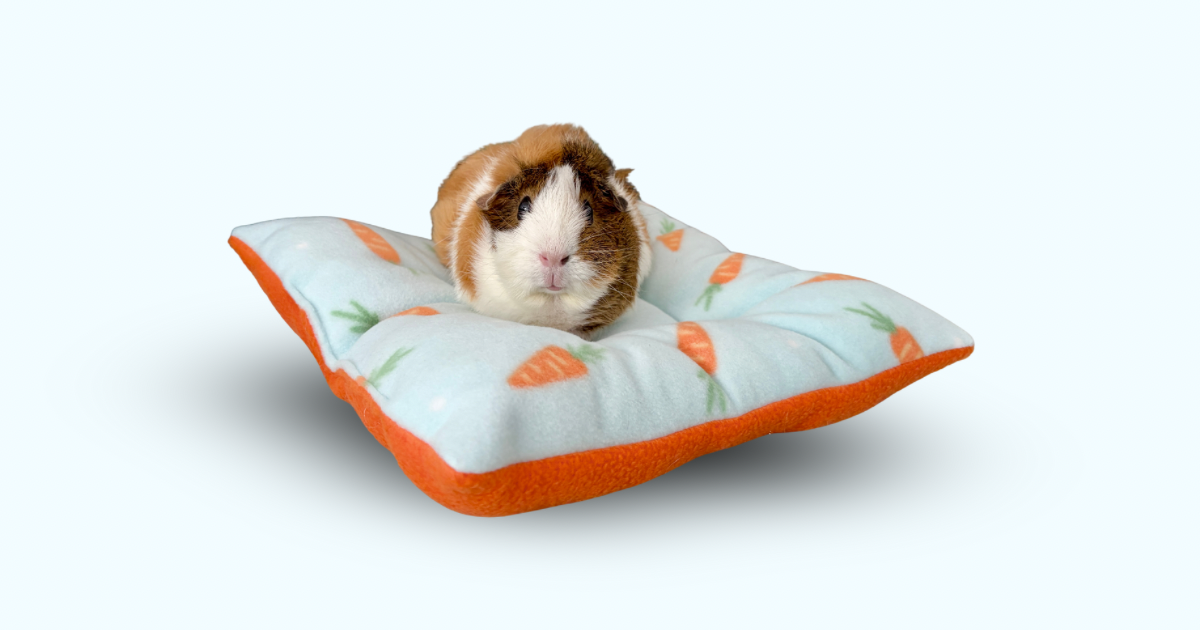Guinea pigs - 2.png