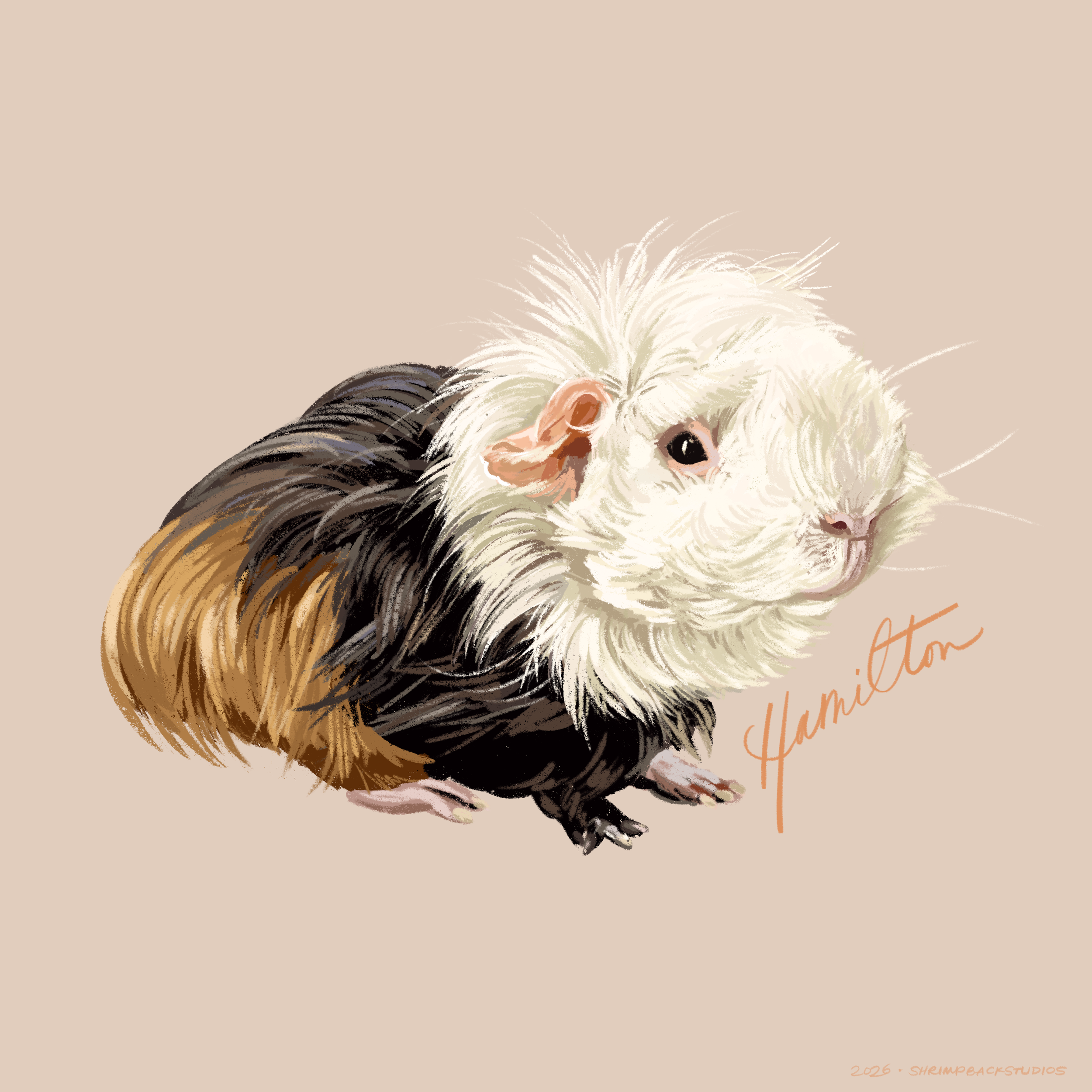 Hamilton_CozyCavy.PNG