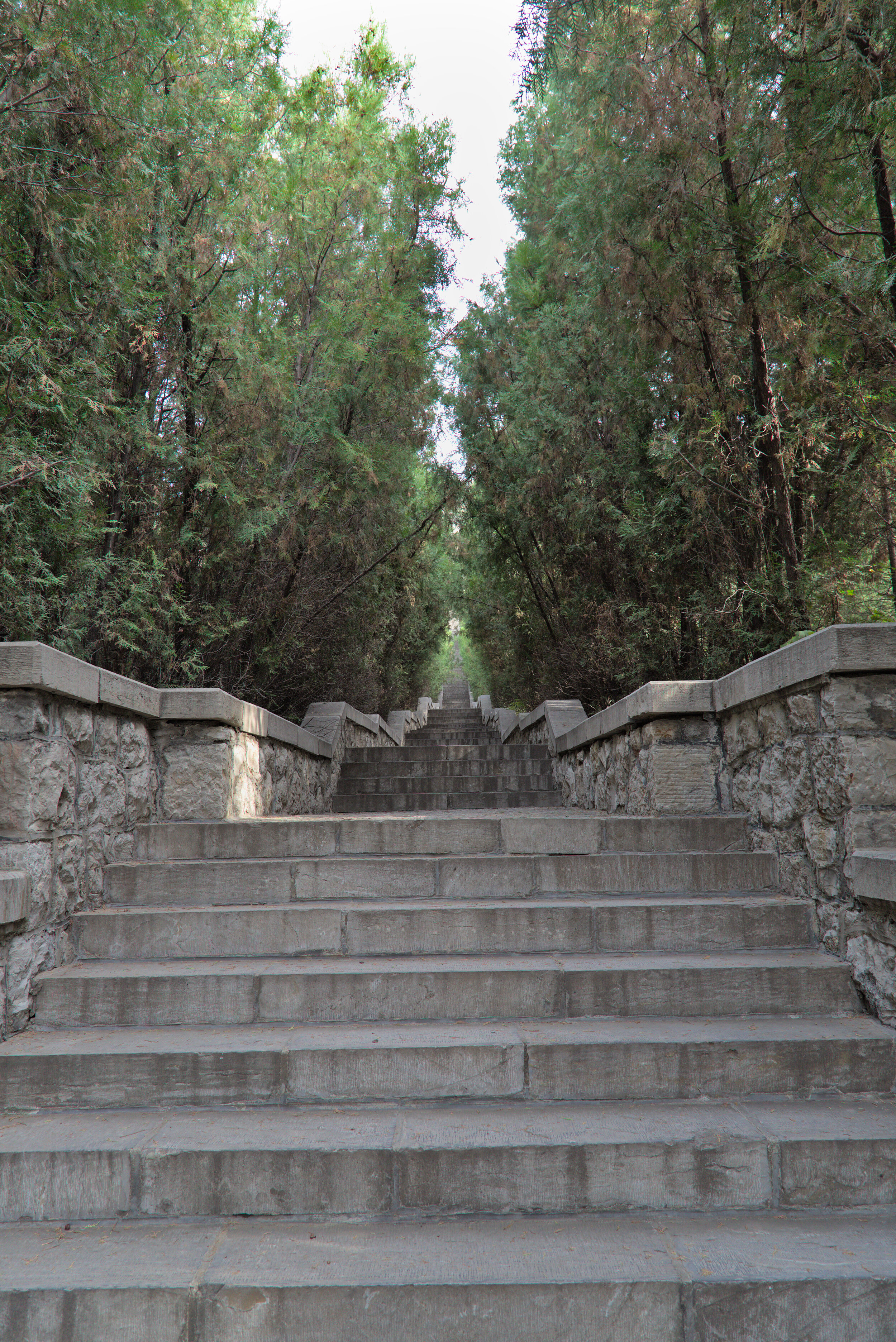 _66A1796_3026.jpg