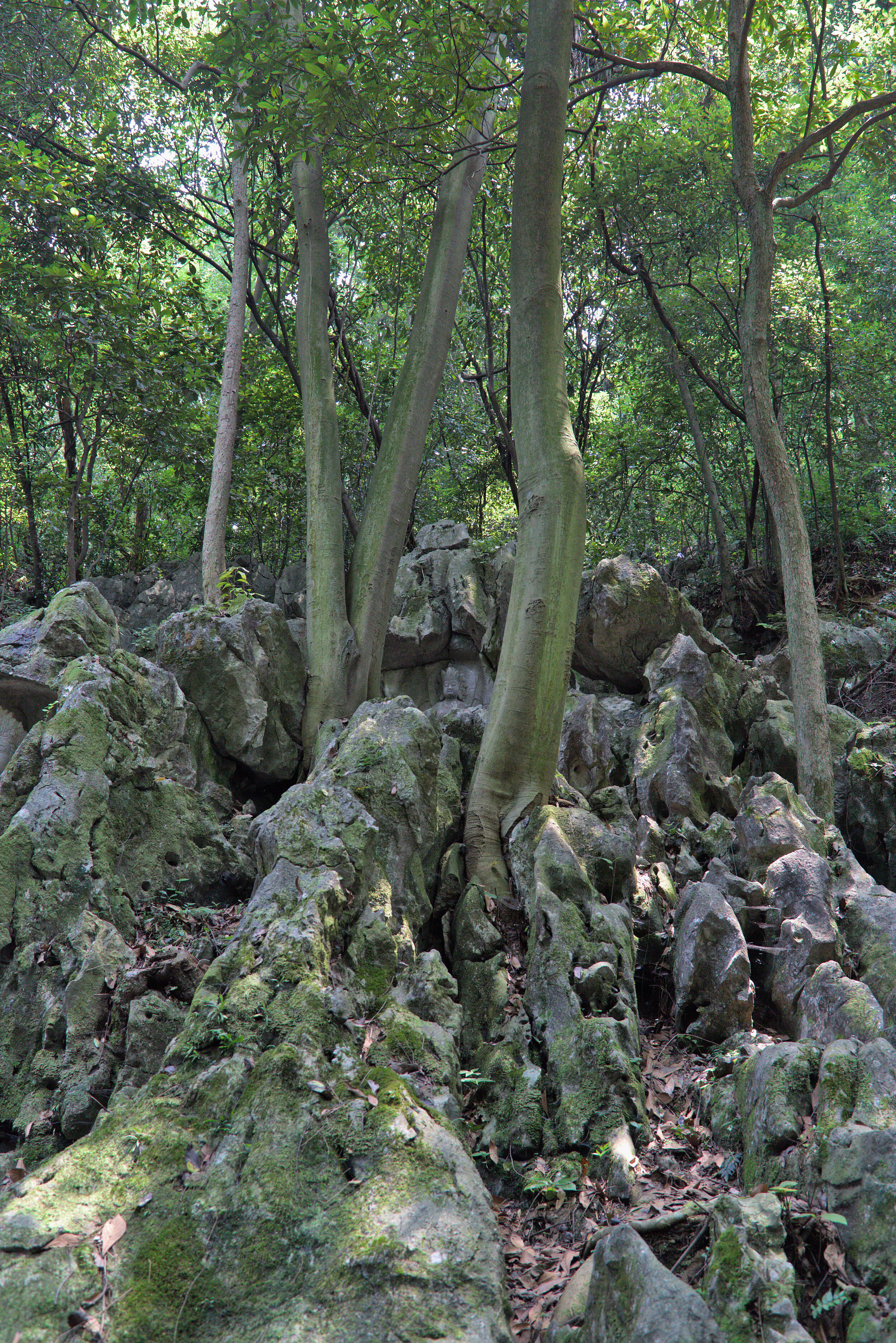 LCR-2019-4040.jpg