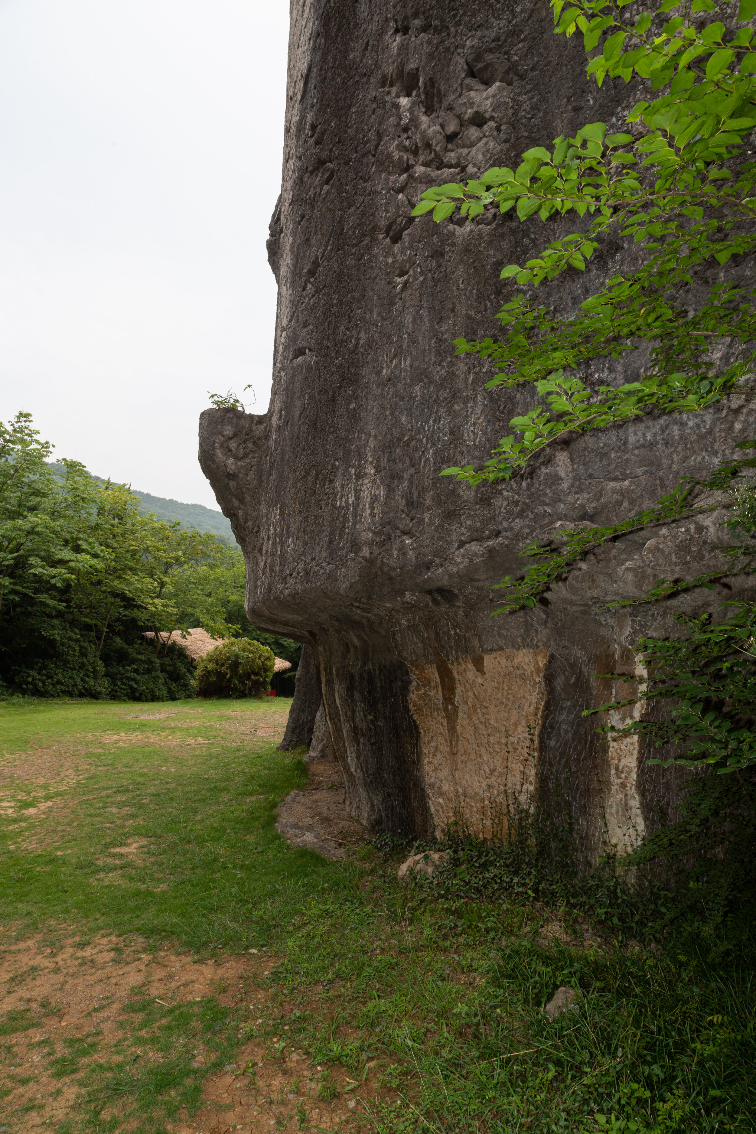 g-SteleTop-3-Yangshan-20190705-17.jpg