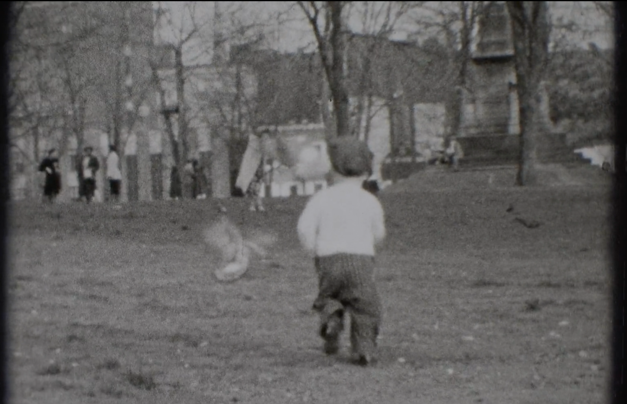 Anne Hollowday_Bird Watching_10.png