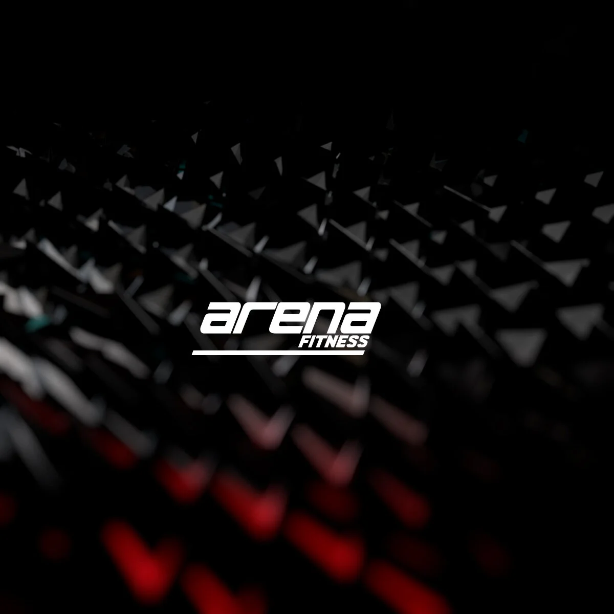 Arena Fitness