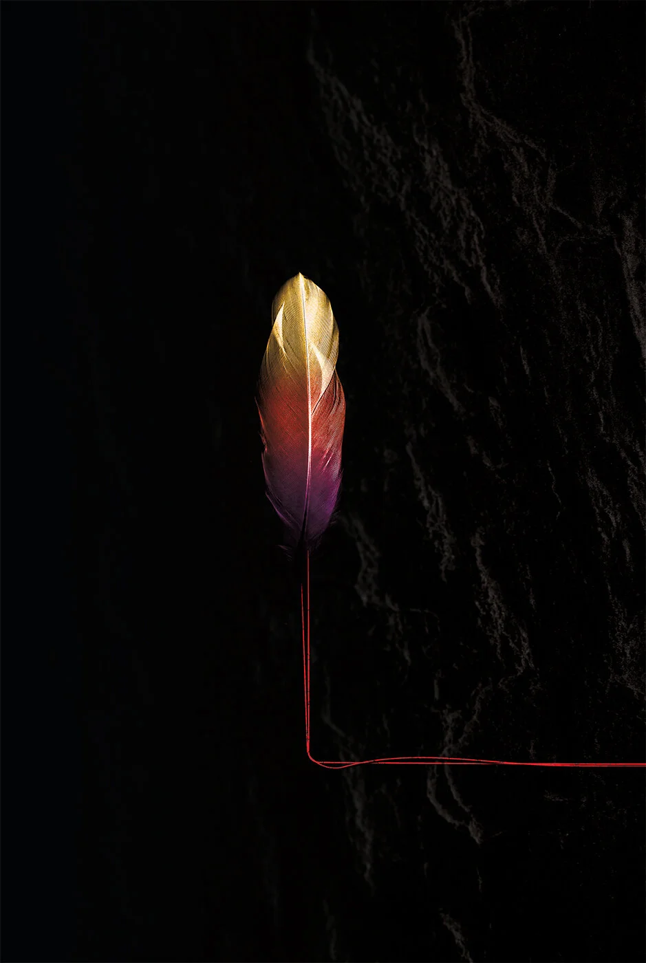 booba_feather.jpg