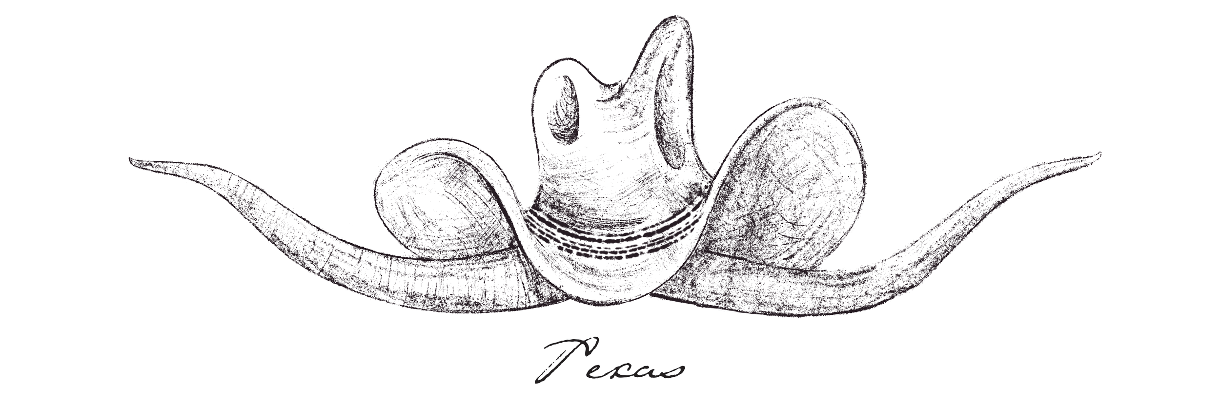 IMG_2680.PNG