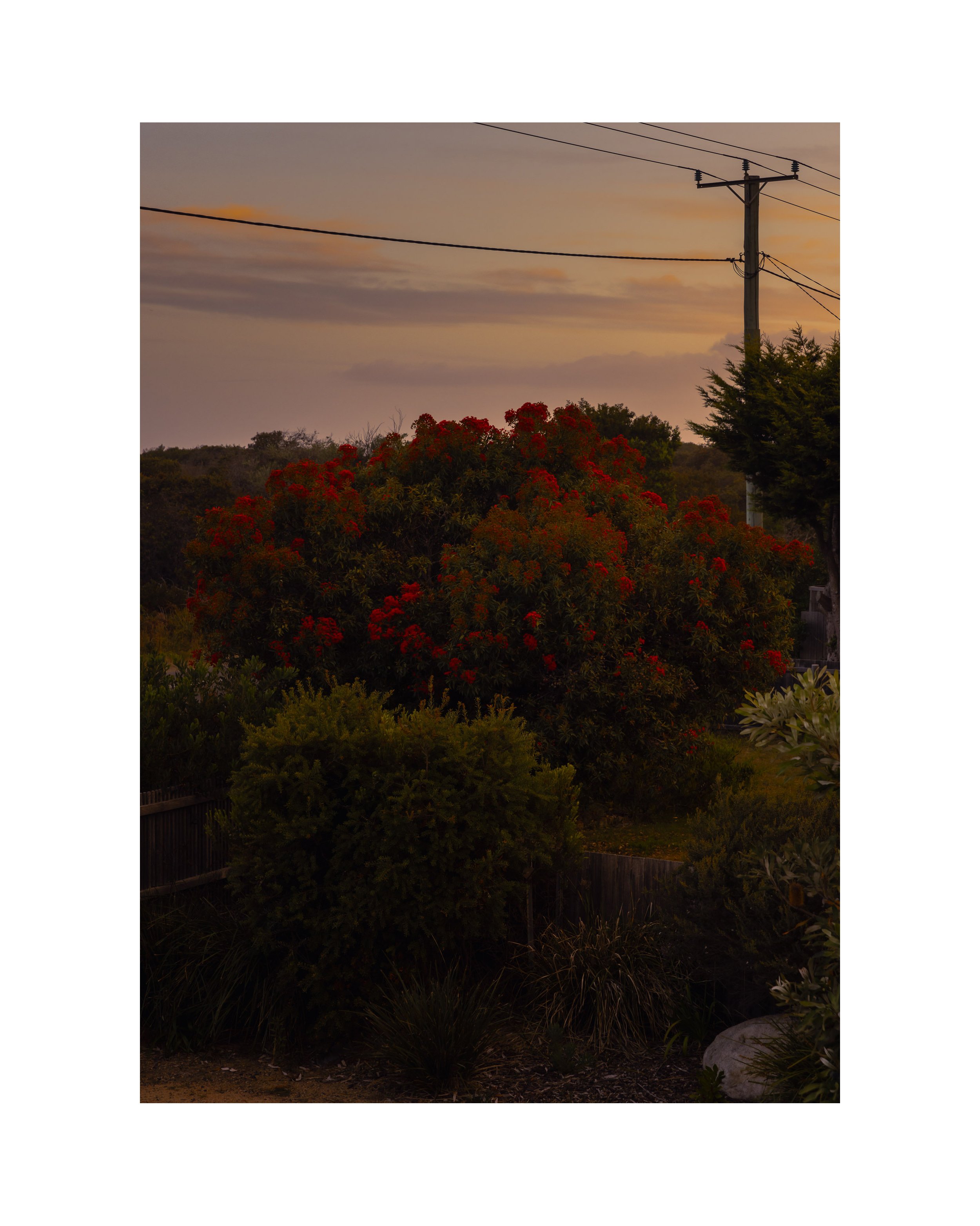 21 of 34
Beaumaris Beach