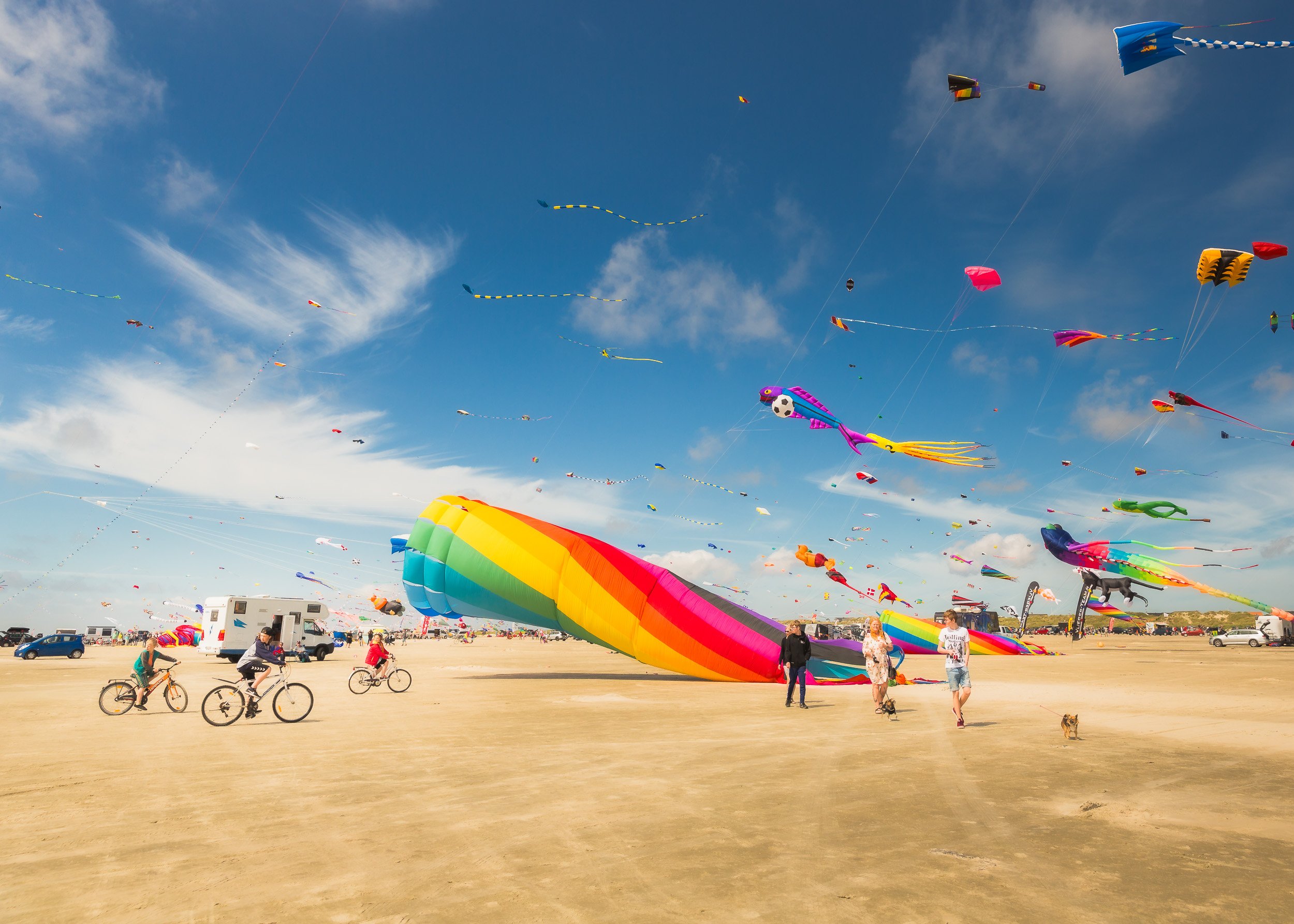 13 of 45
Fanø Kite Festival