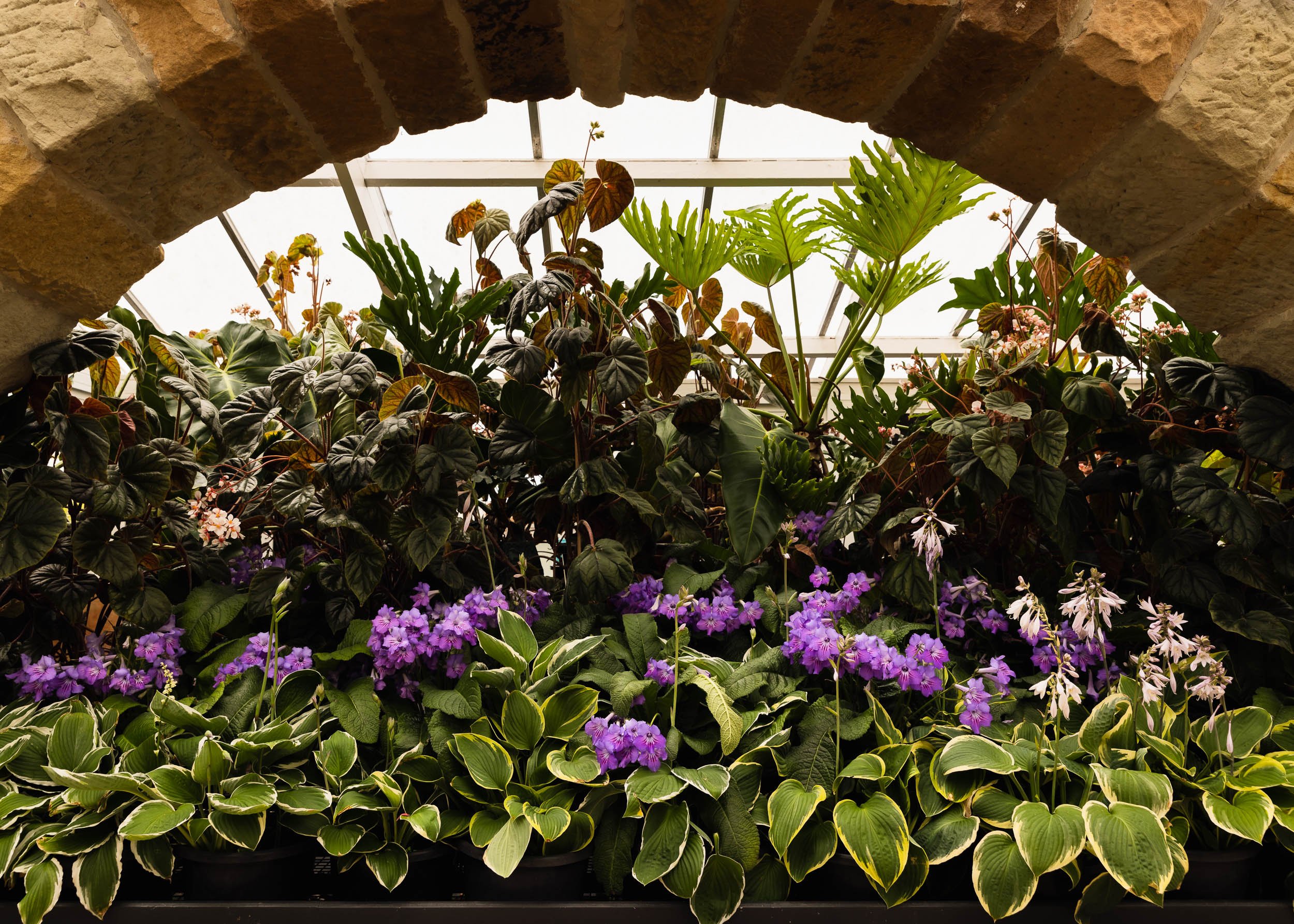 20 of 25
Botanic Gardens