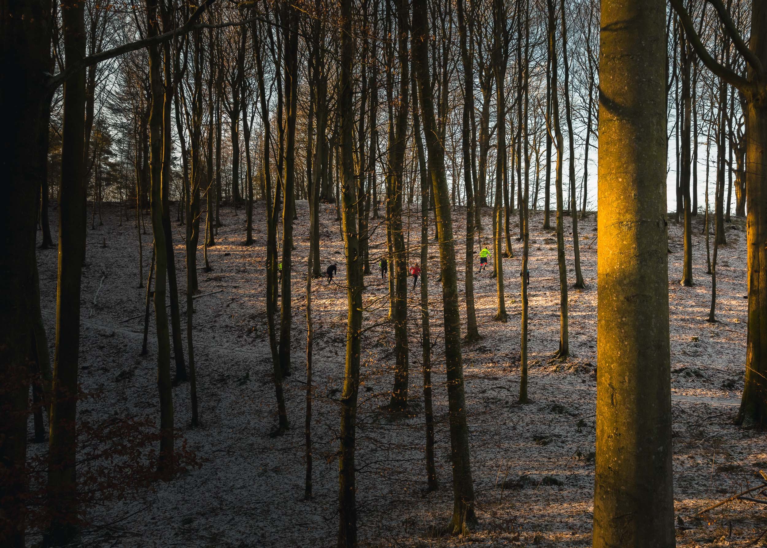 6 of 29
Joggers, Sønderskoven, Denmark