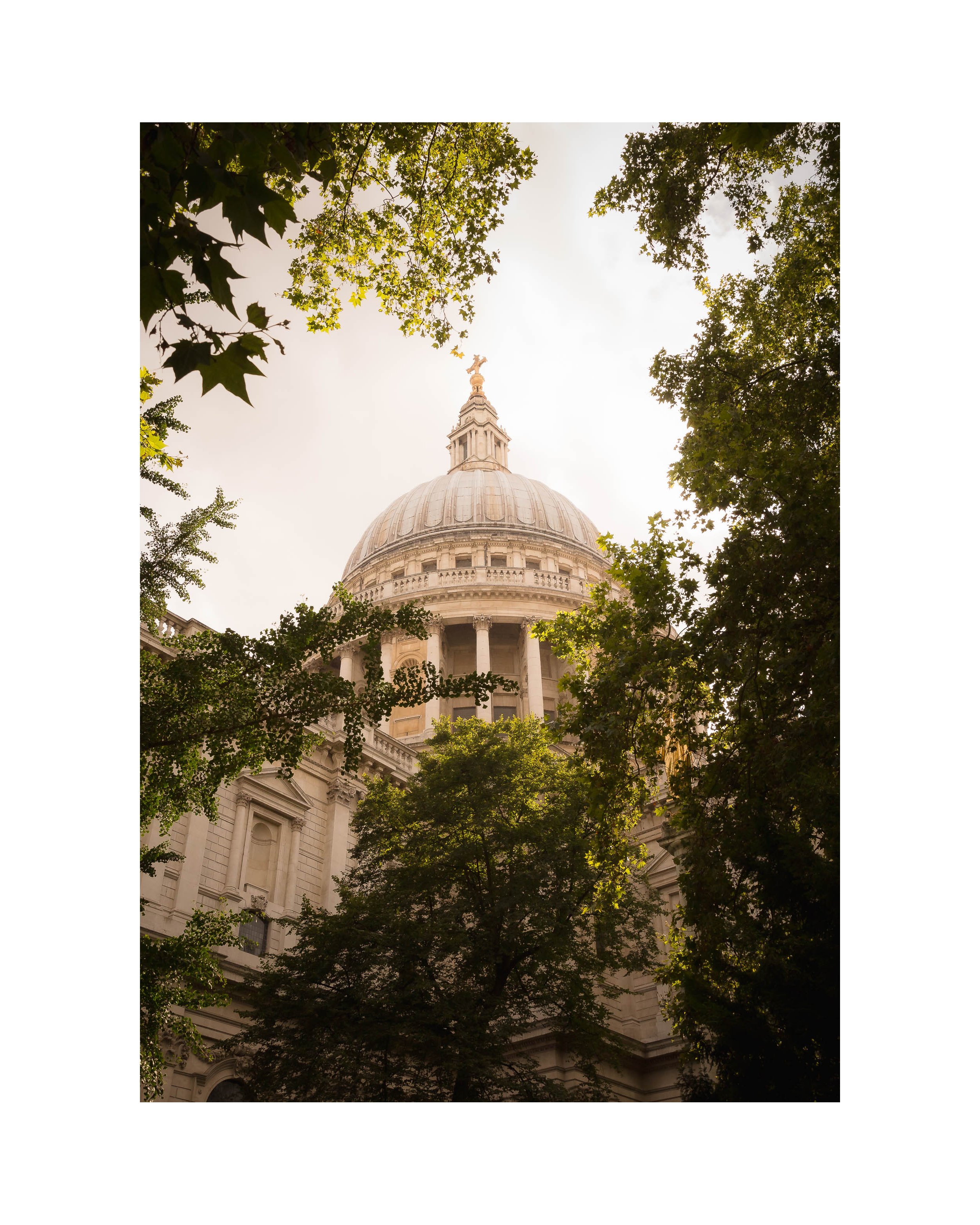 4 of 12
St Paul's Cathedral