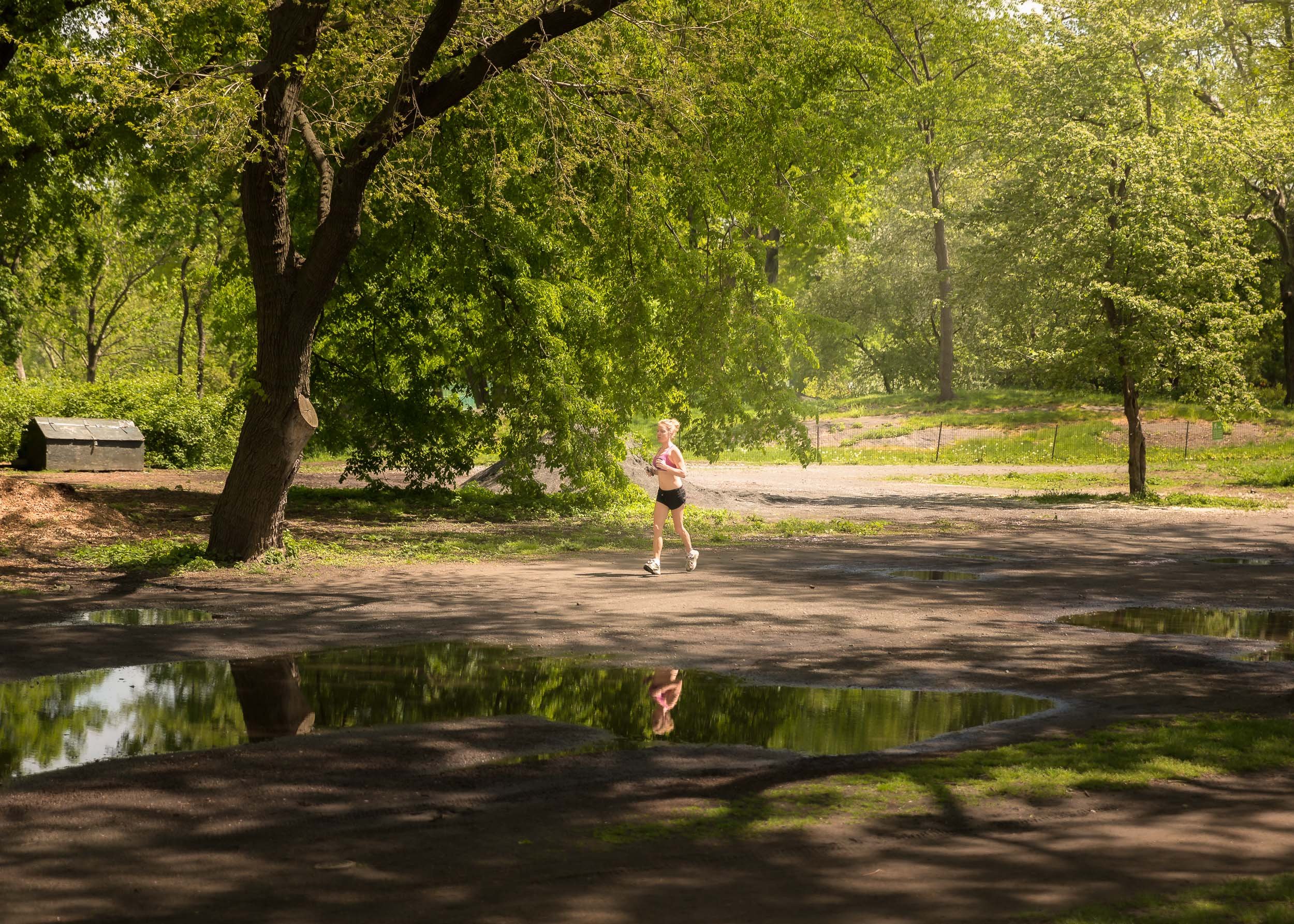 27 of 43
Central Park, New York