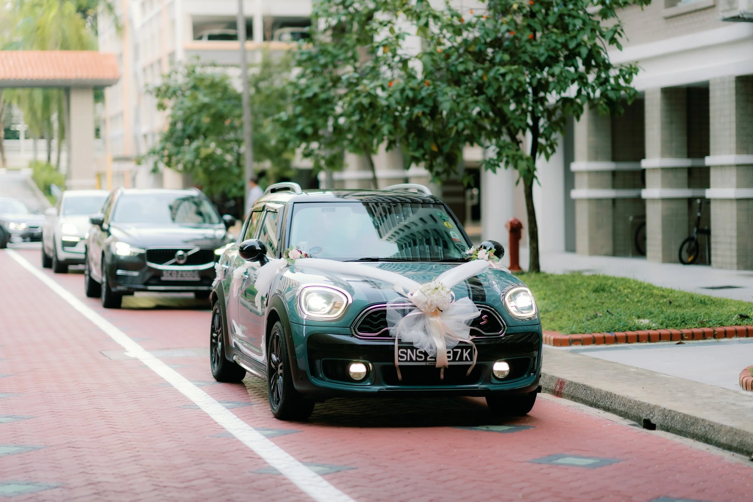 alvin serene hilton orchard 026.jpg