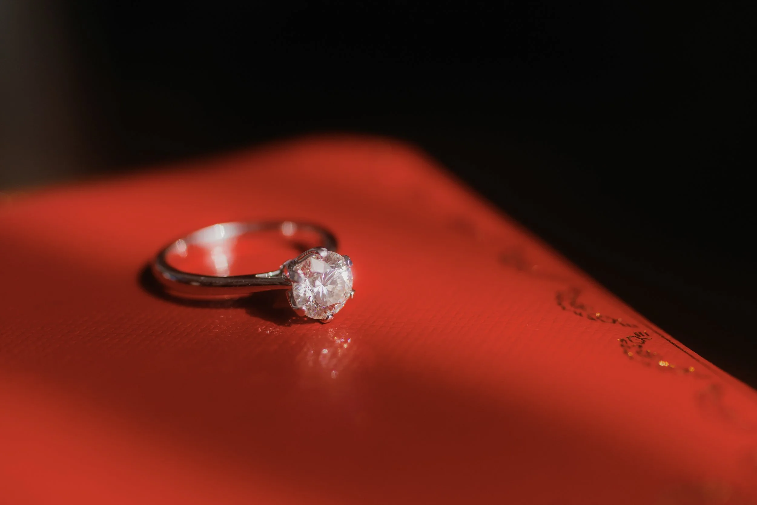 alvin rachel rom four seasons 016.jpg