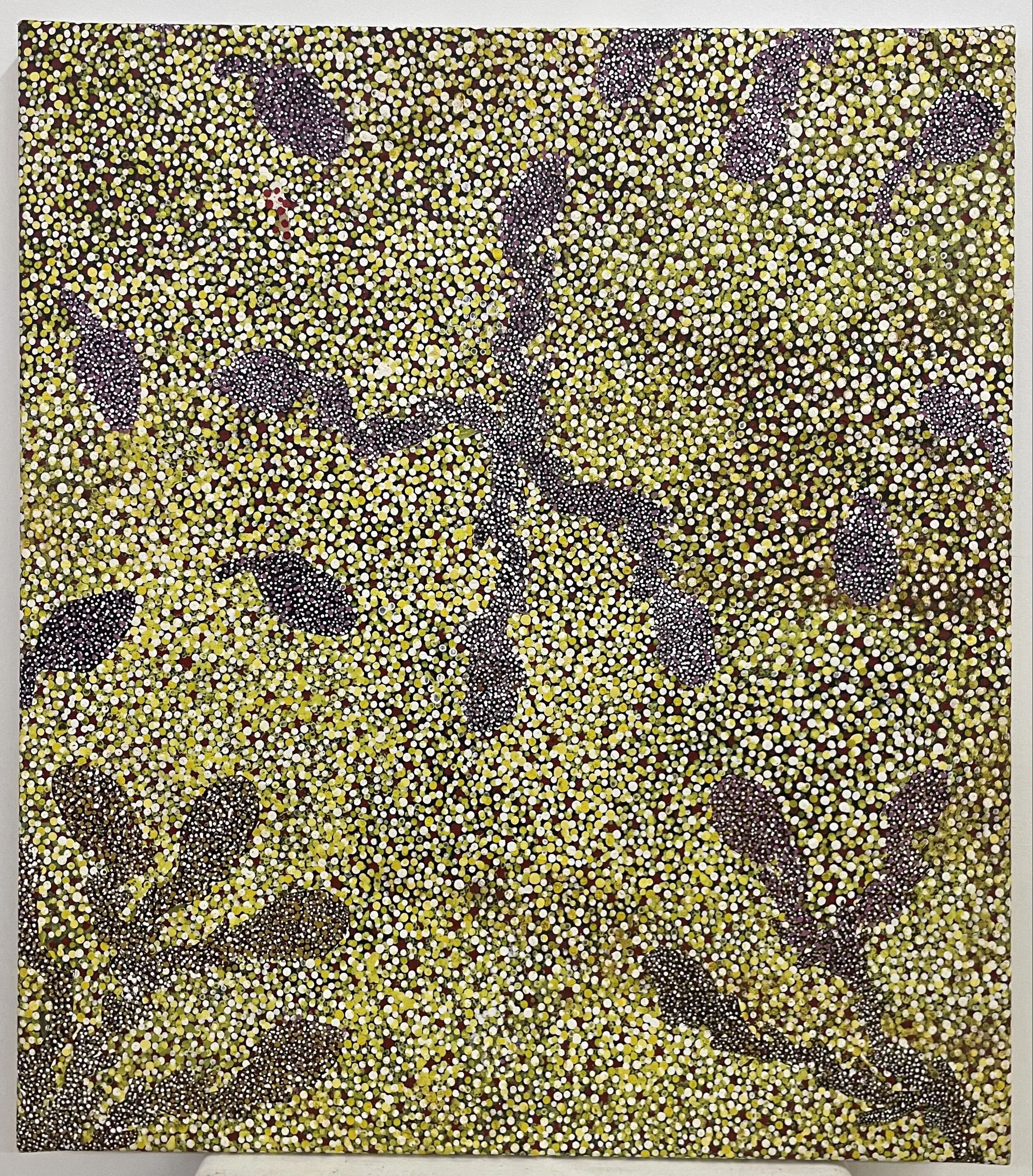 Unbekannt "Bush Medicine Dreaming" (76x67cm); Acryl auf Leinwand -860€